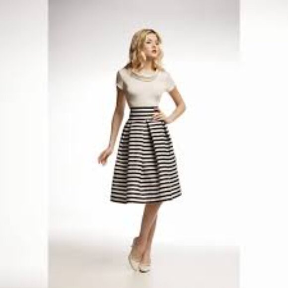 J Crew Women Size 12 Blue Stripe Pleated Zip Back Cotton Blend Lined Midi Skirt - Picture 2 of 12